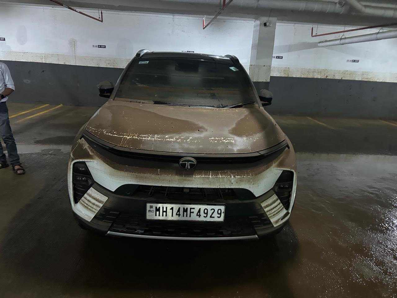 TATA NEXON-CREATIVE PLUS (PS) 1.2 Icng