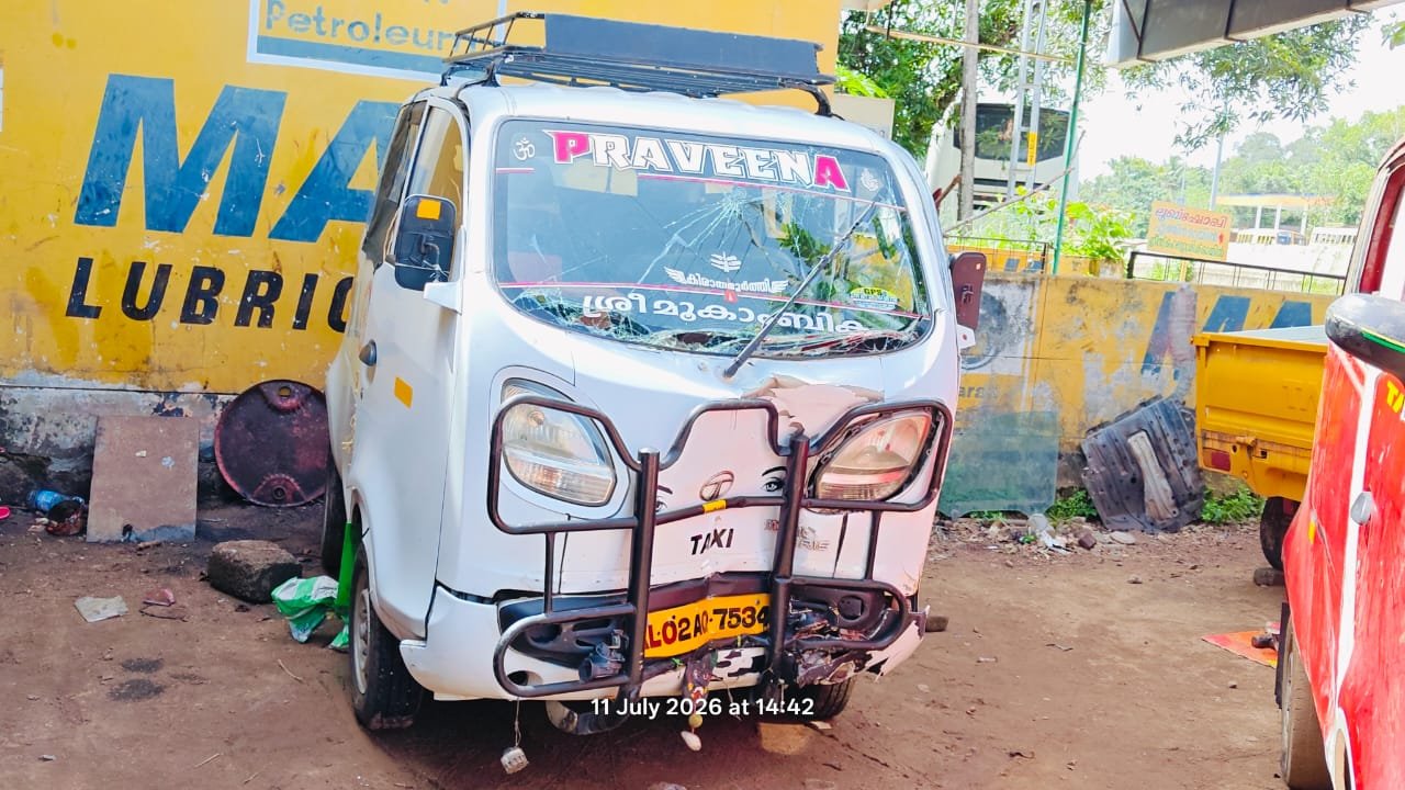 TATA MOTORS  MAGIC IRIS
